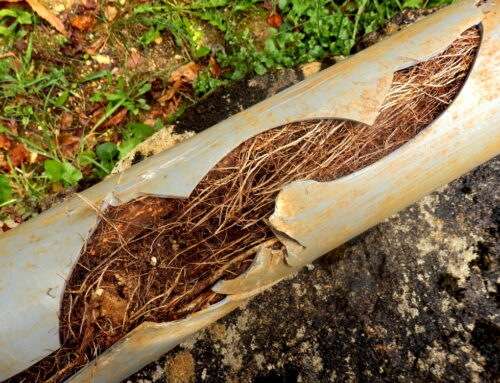 5 Most Common Causes of Burst Residential Pipes